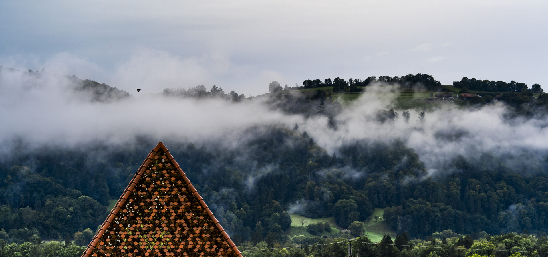 Blick vom KONCEPT HOTEL Löie in die Natur