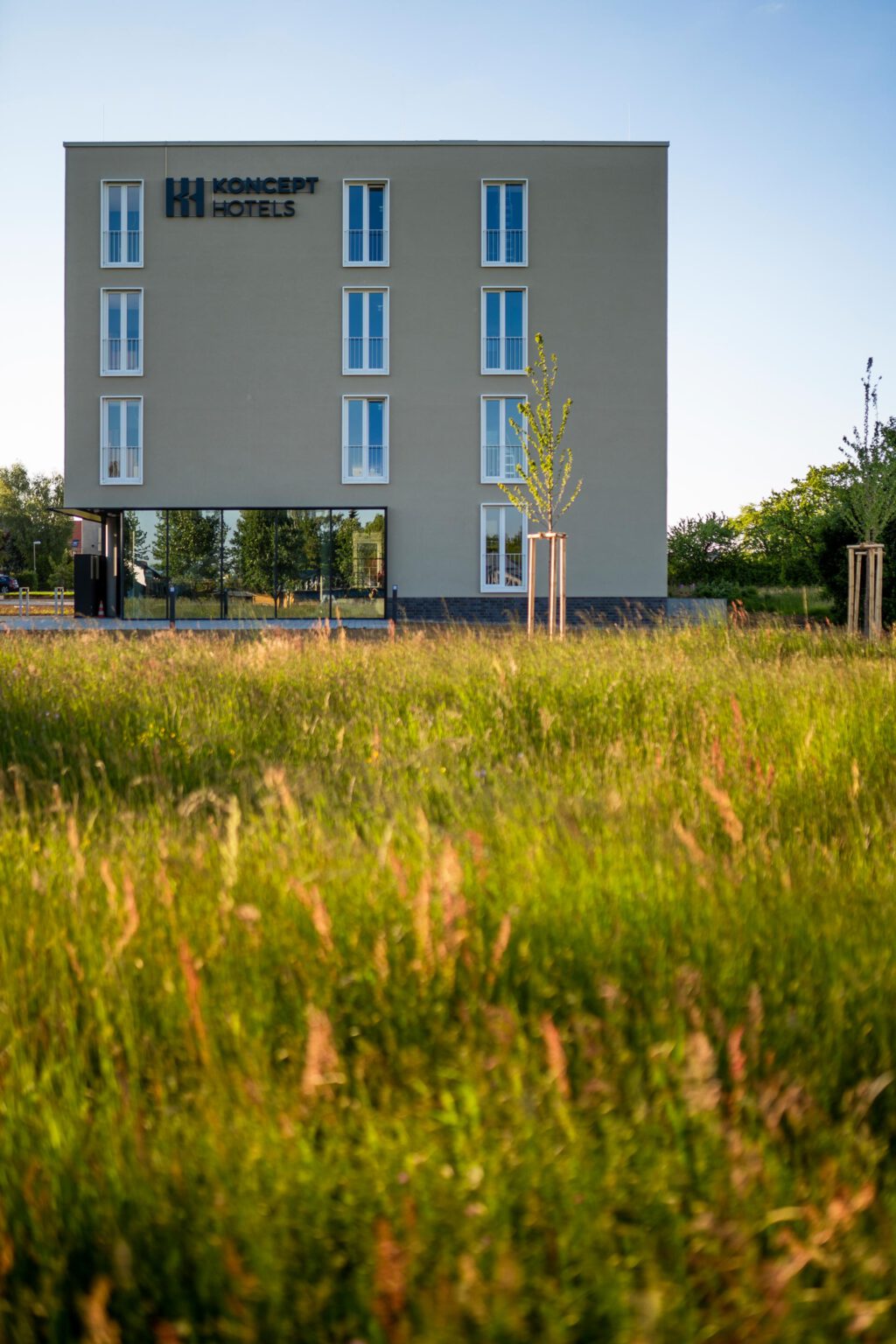 Wildblumenwiese vor dem KONCEPT HOTEL Tübingen
